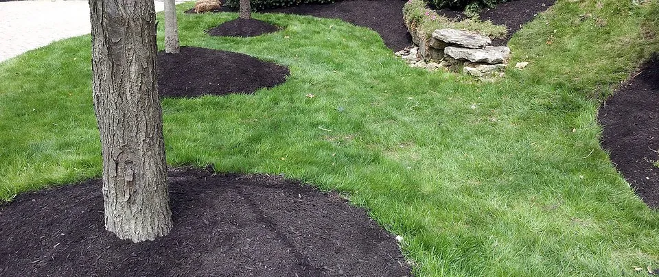 Trusted yard maintenance in Columbus, OH by Yard Helpers of Columbus