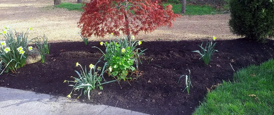 Custom landscaping services in Columbus, OH - Yard Helpers of Columbus