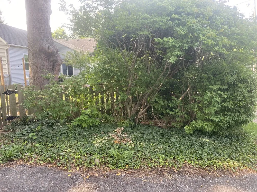 Reliable landscape installation experts serving Columbus, OH - Yard Helpers of Columbus