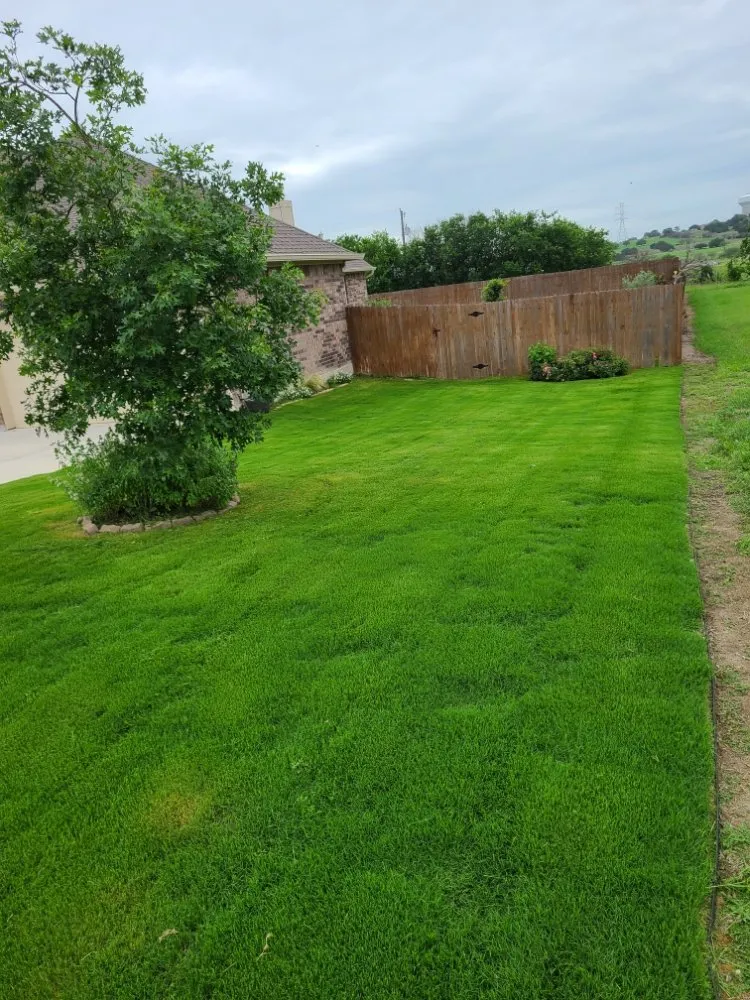 Local residential landscaping in Schertz, TX by Yard HQ
