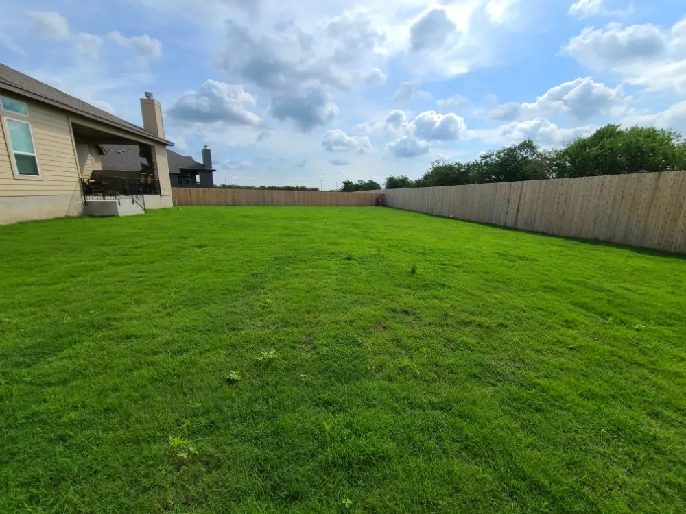 Reliable landscaping services with custom design across Schertz, TX - Yard HQ