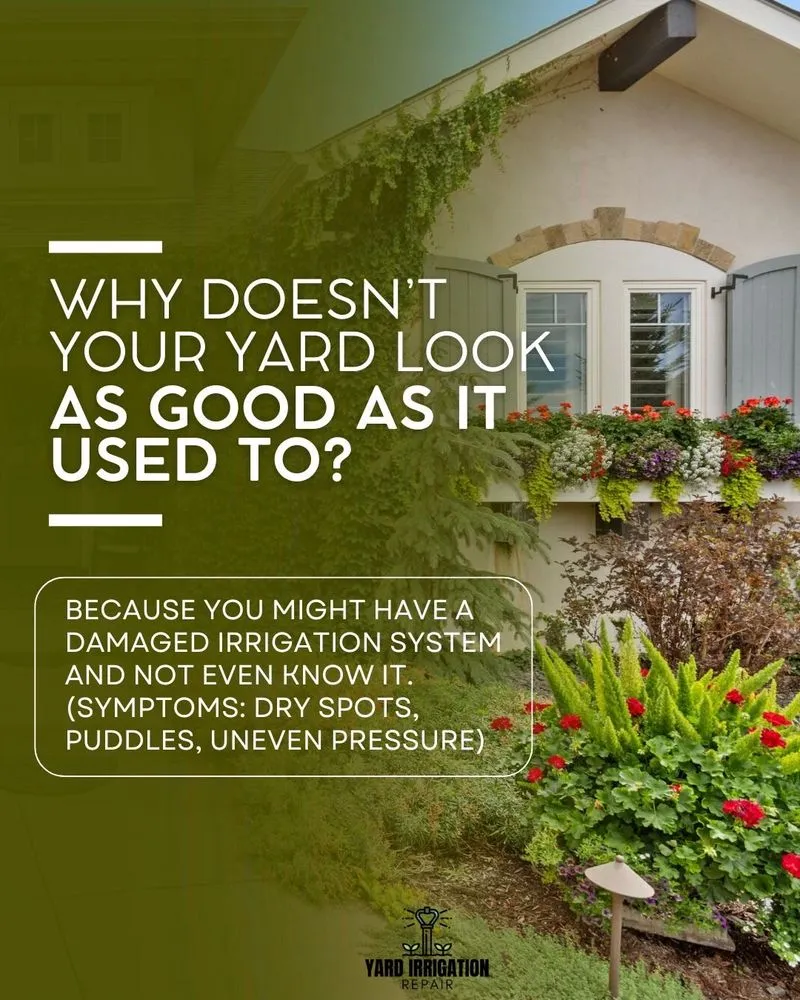 Trusted landscaping services in Indio, CA - Yard Irrigation Repair