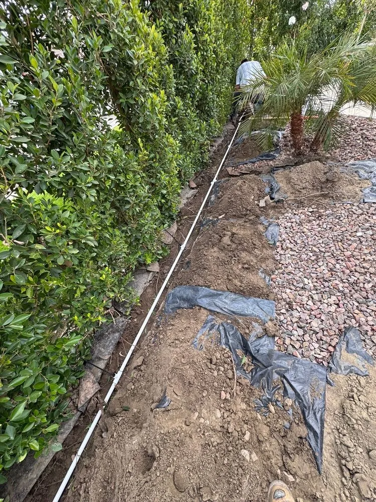 Trusted yard cleanup service for residential properties across Indio, CA - Yard Irrigation Repair