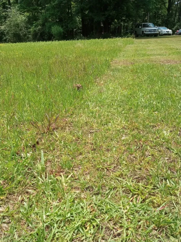 Custom outdoor landscaping for residential properties across Jackson, MS - Yard Jackson Mississippi