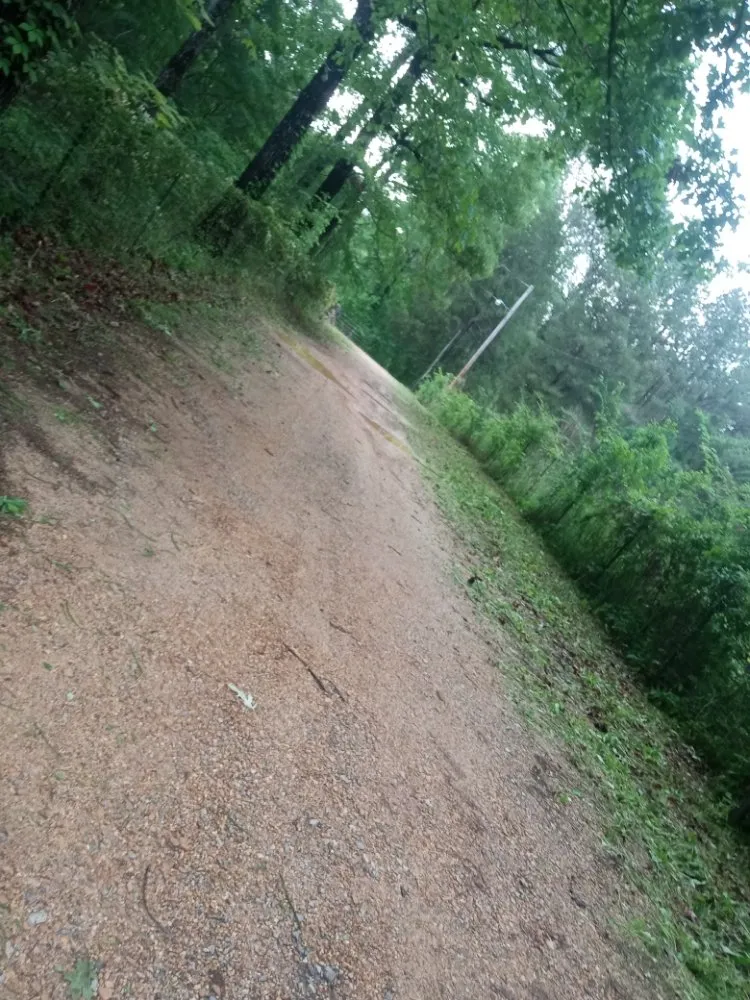 Professional outdoor landscaping for year-round maintenance in Jackson, MS by Yard Jackson Mississippi