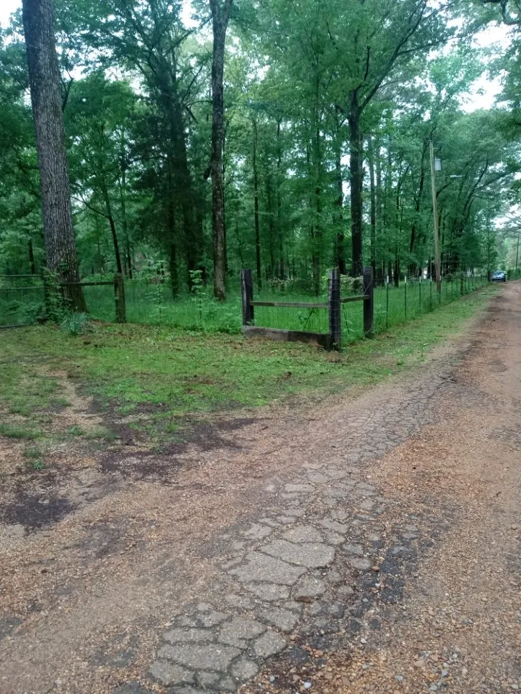 Reliable landscape design in Jackson, MS - Yard Jackson Mississippi