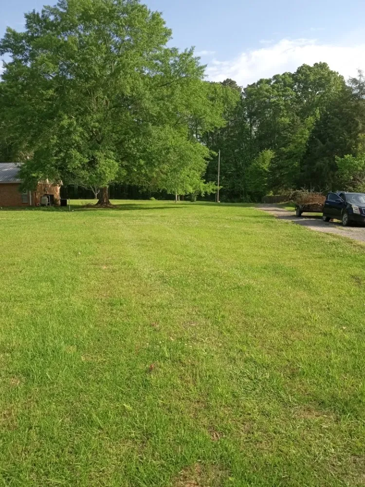Local lawn care service for year-round maintenance in Jackson, MS by Yard Jackson Mississippi