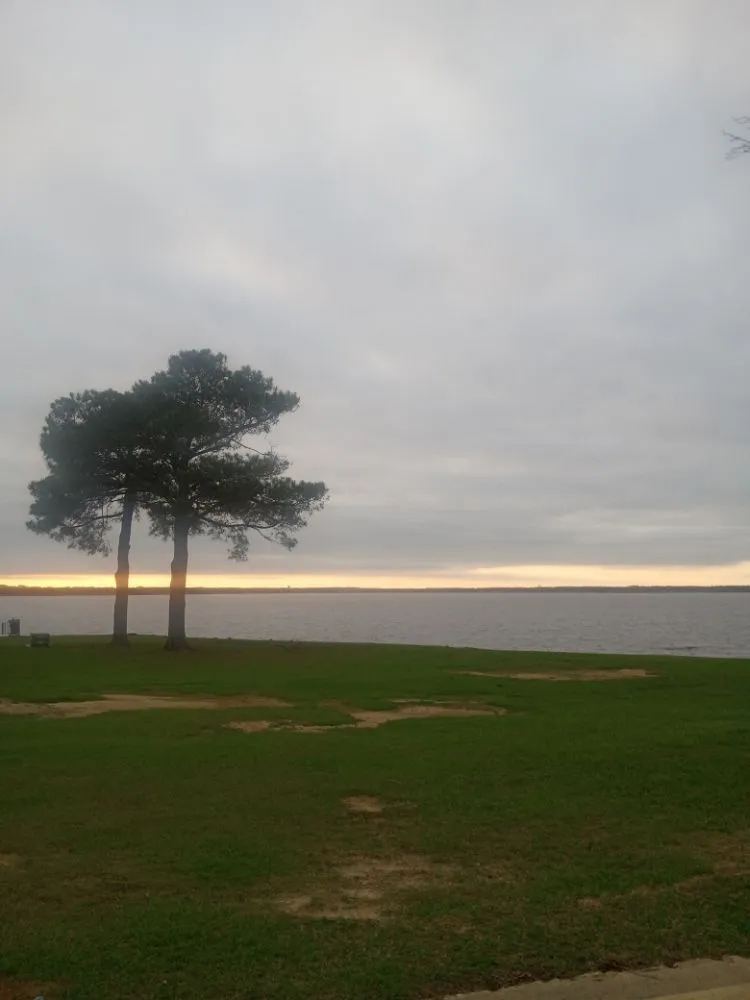 Top-rated outdoor landscaping in Jackson, MS - Yard Jackson Mississippi