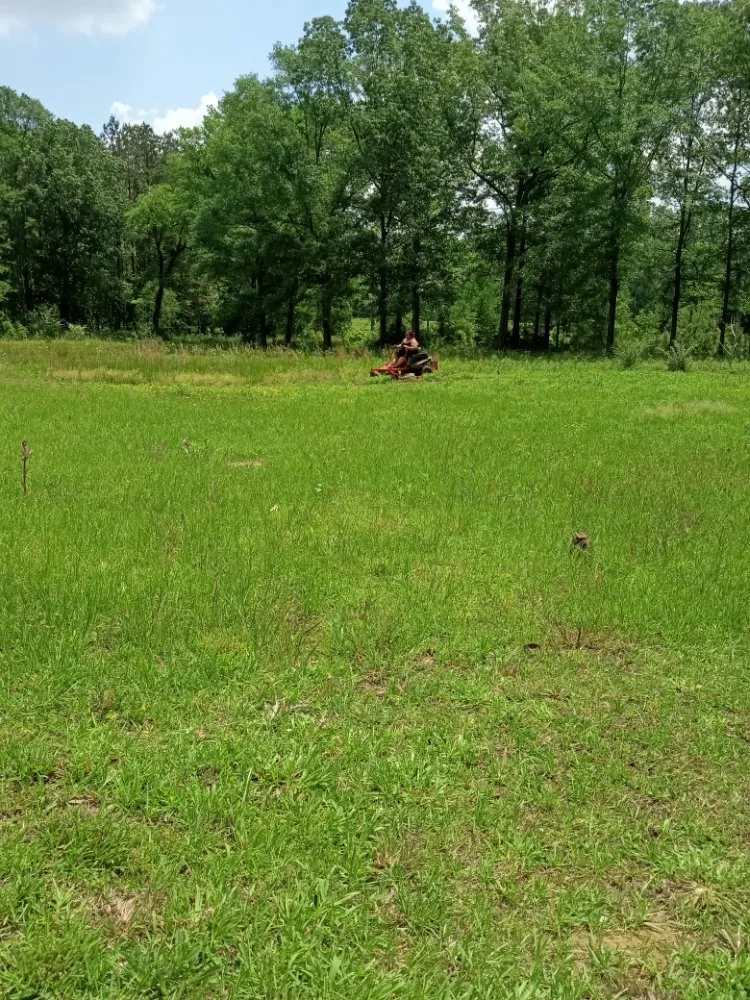 Top-rated landscaping services in Jackson, MS - Yard Jackson Mississippi