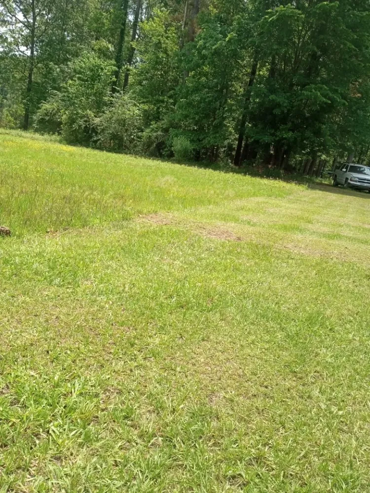 Custom yard cleanup service experts serving Jackson, MS - Yard Jackson Mississippi