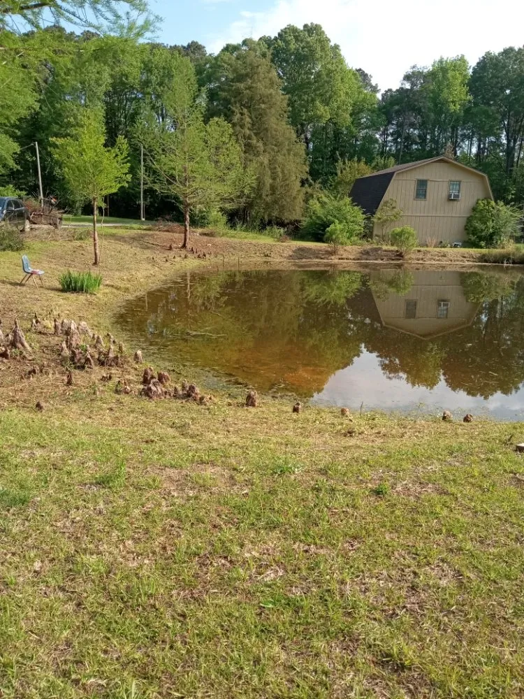 Top-rated landscape installation in Jackson, MS by Yard Jackson Mississippi