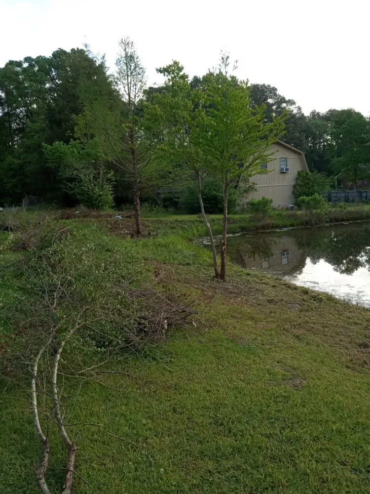 Reliable garden landscaping in Jackson, MS - Yard Jackson Mississippi