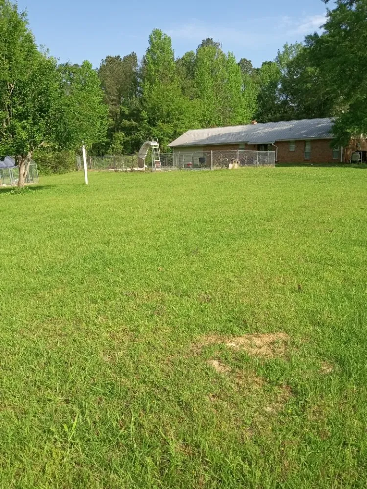 Professional garden landscaping in Jackson, MS - Yard Jackson Mississippi