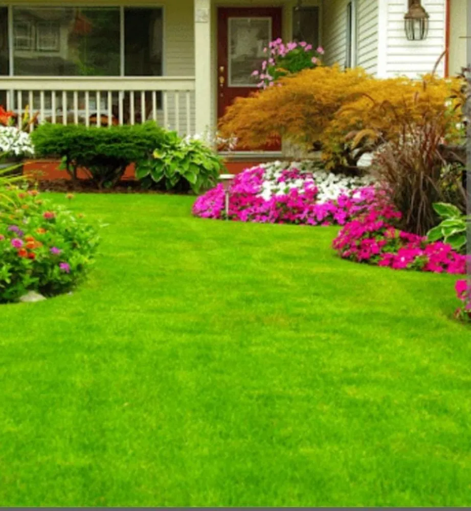 Professional yard maintenance for outdoor upgrades across Jackson, MS - Yard Jackson Mississippi