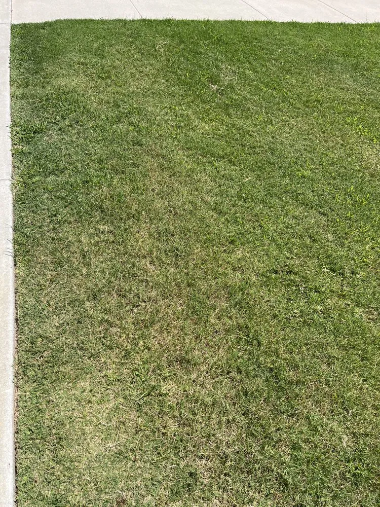 Professional lawn care service near you across North Little Rock, AR - Yard Keepers