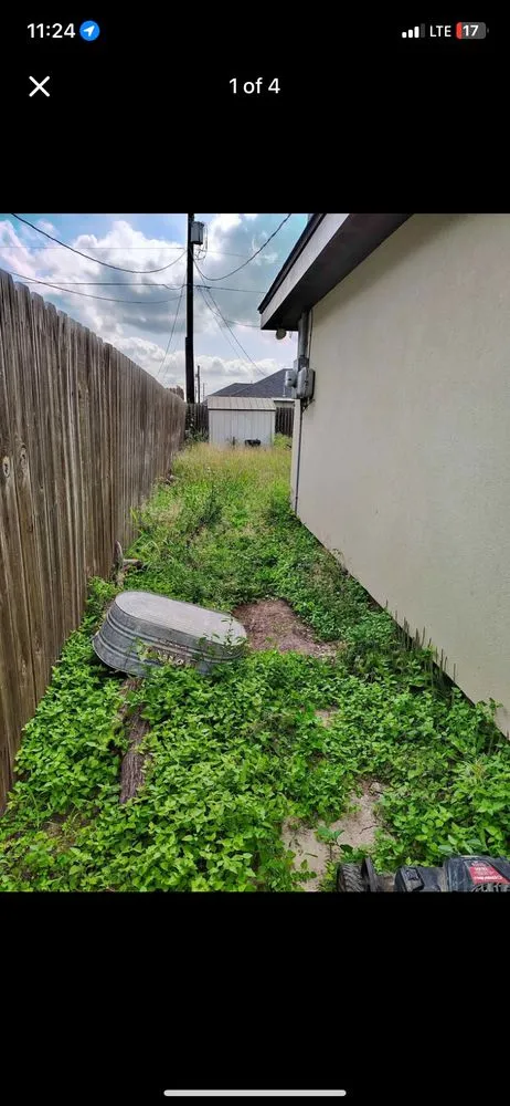 Trusted lawn care service near you in Alamo, TX by Yard King