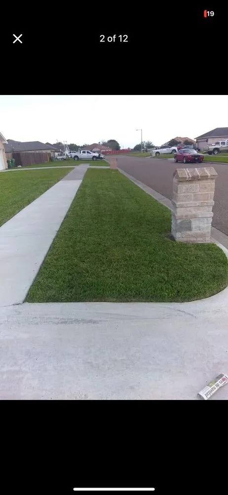 Custom yard maintenance in Alamo, TX - Yard King