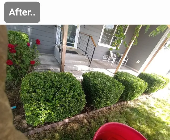 Affordable lawn mowing service in Post Falls, ID - Yard King