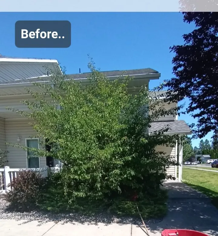 Top-rated yard cleanup service experts serving Post Falls, ID - Yard King