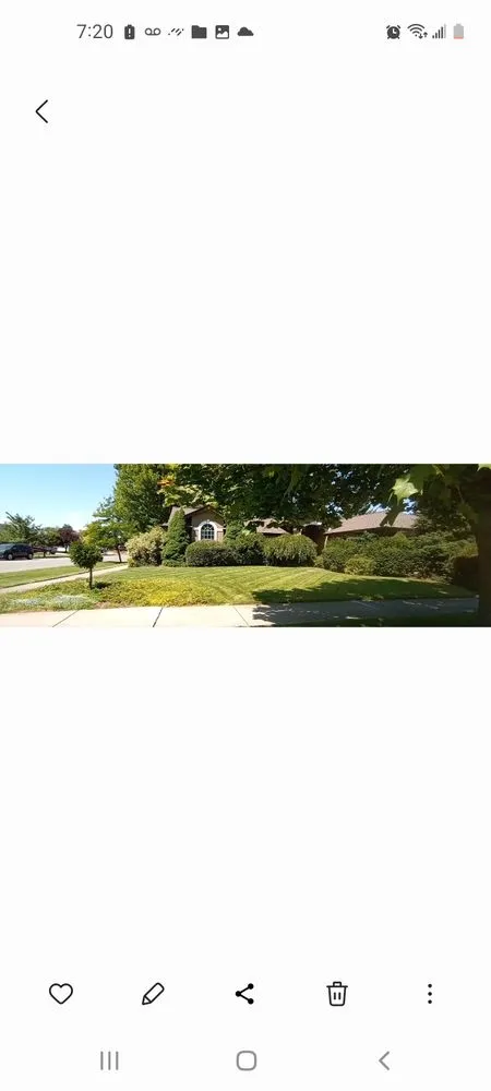 Reliable yard maintenance experts serving Post Falls, ID - Yard King