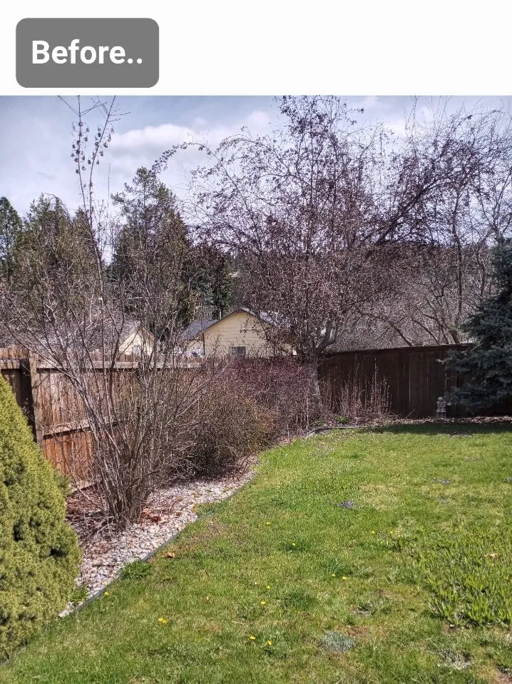 Expert yard maintenance experts serving Post Falls, ID - Yard King