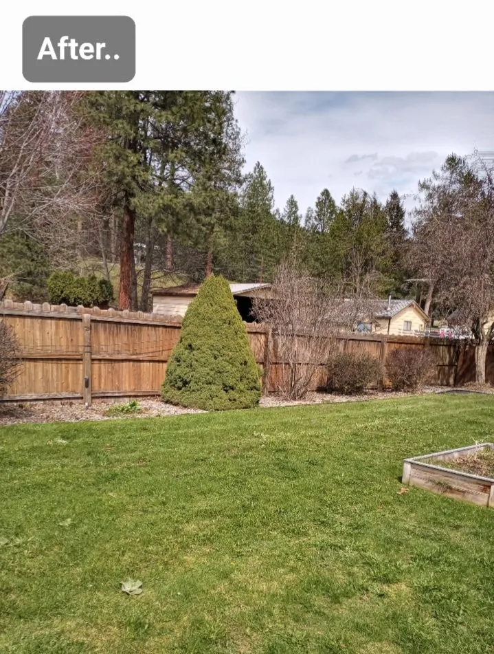 Custom yard cleanup service in Post Falls, ID by Yard King