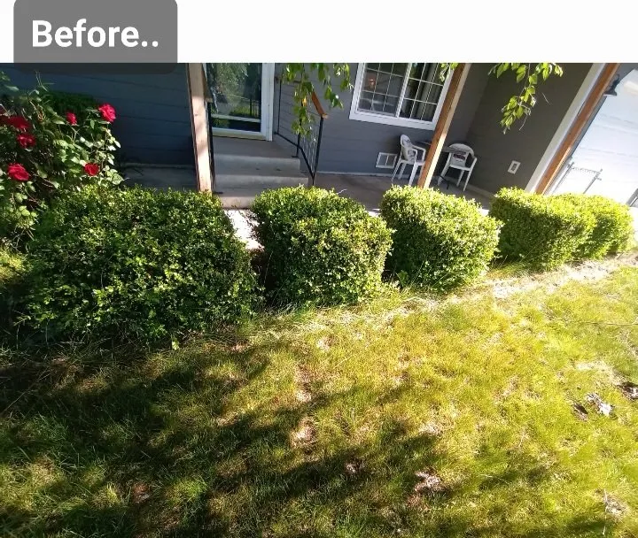 Professional lawn care service for homes in Post Falls, ID by Yard King