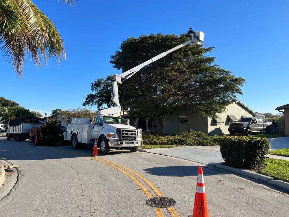 Affordable lawn mowing service in Miami Gardens, FL - Yard Kings 305