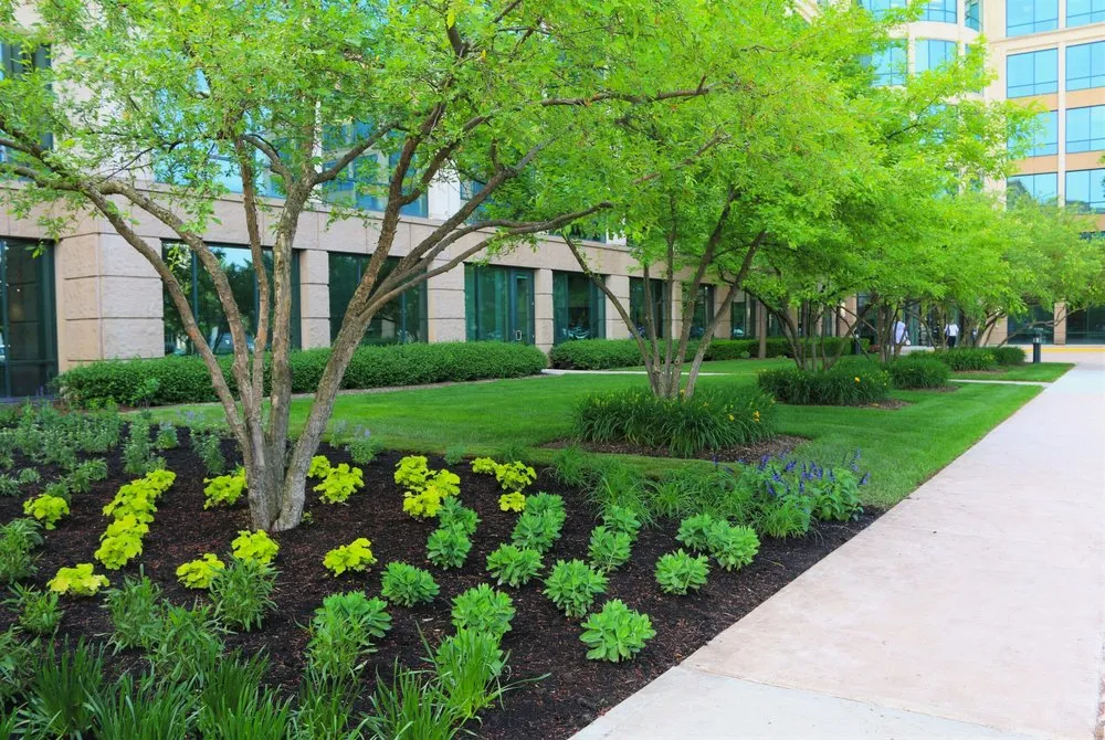 Local garden landscaping experts serving Miami Gardens, FL - Yard Kings 305