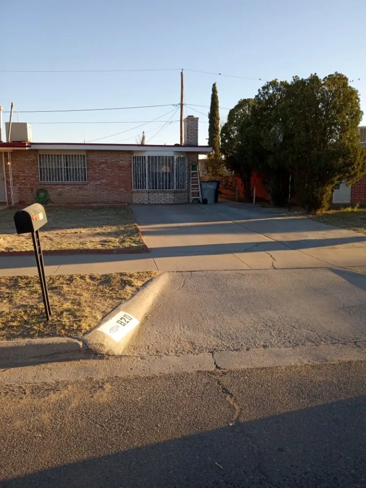 Expert yard cleanup service in El Paso, TX - Yard Kings