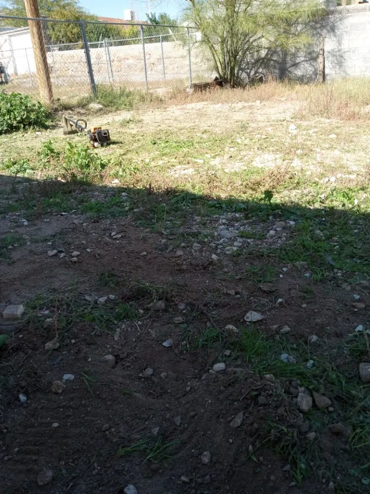 Local lawn mowing service in El Paso, TX by Yard Kings