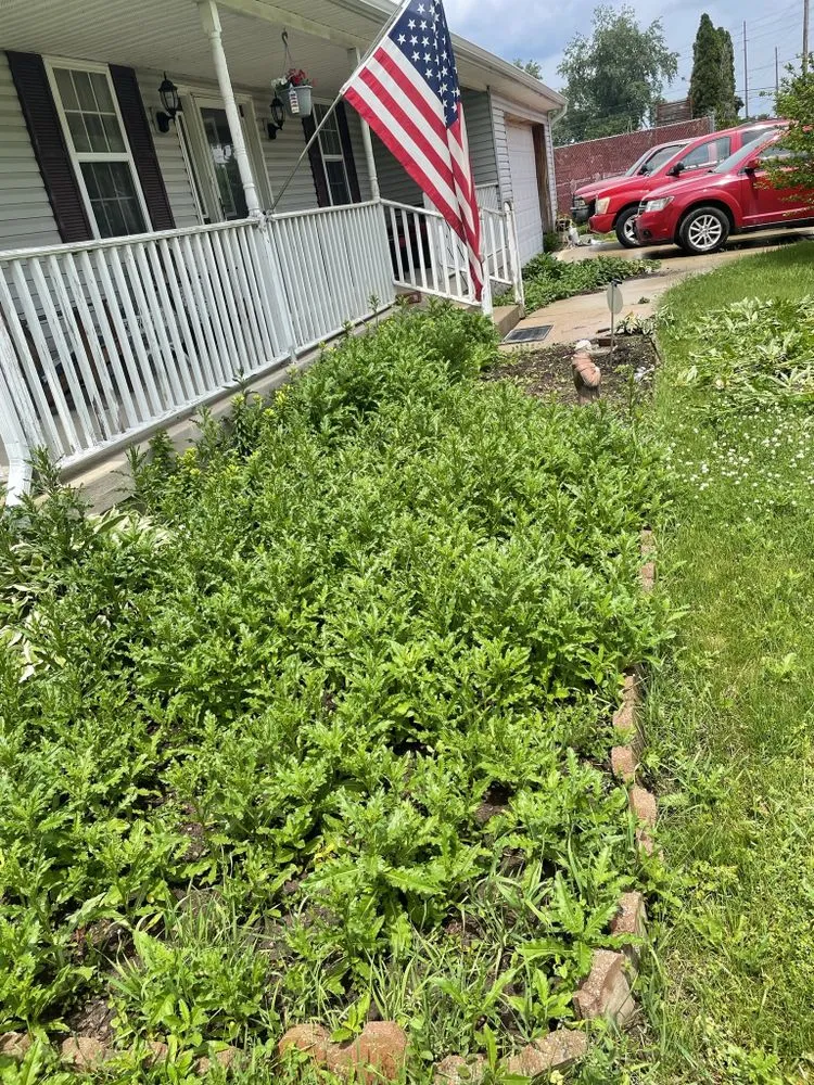 Local landscape installation in Sandusky, OH by Yard Kingz