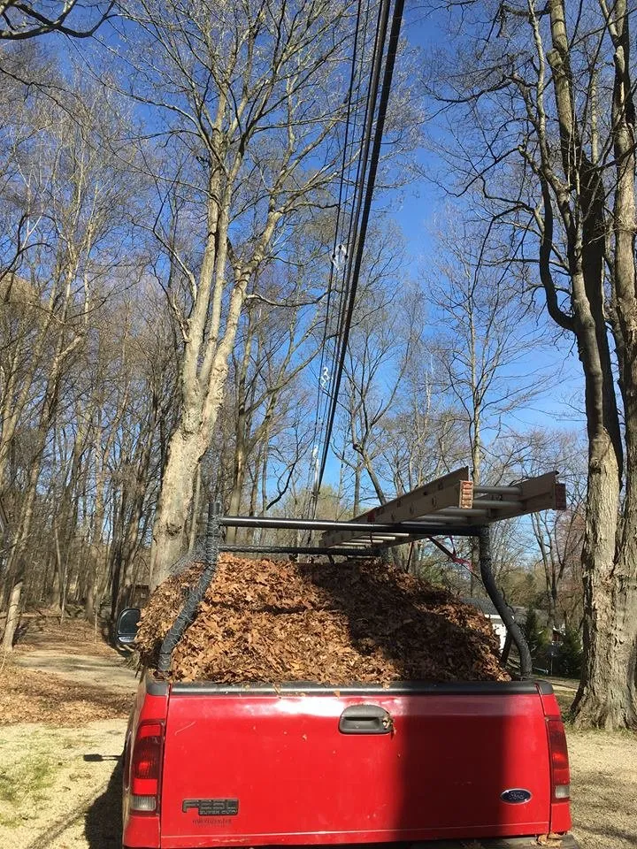 Professional landscape design in Decatur, MI - Yard Knomes Maintenance