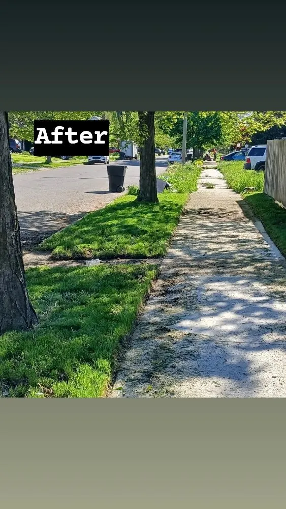 Professional garden landscaping in Detroit, MI - Yard Kutz