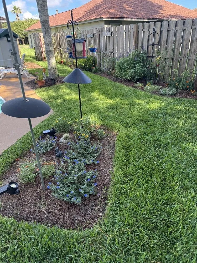 Expert outdoor landscaping in St. Petersburg, FL - Yard Landscaping Deluxe