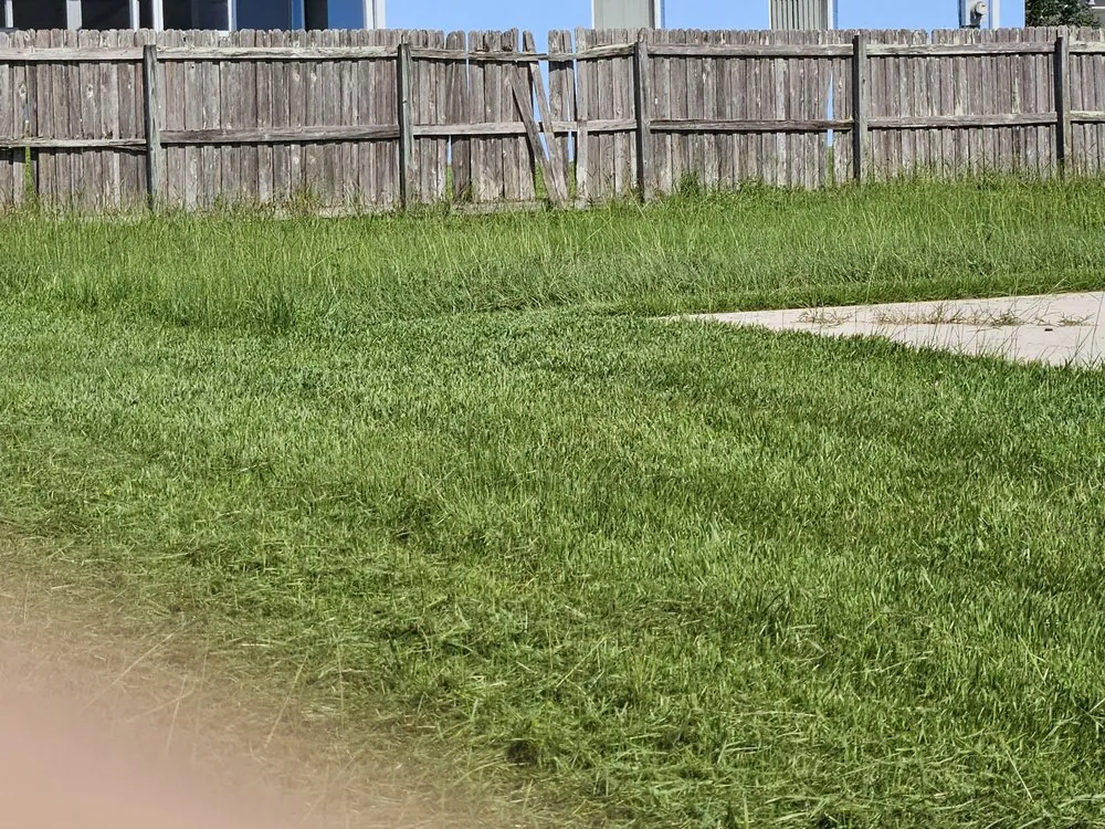 Custom residential landscaping experts serving Belleview, FL - Yard Lizard