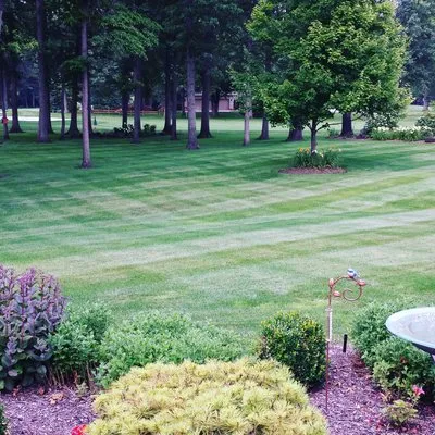 Yard Machine Lawn And Landscape Logo