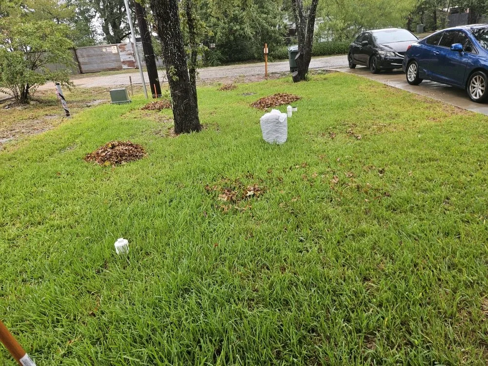 Trusted landscaping services experts serving Bryan, TX - Yard Maintenance And Gardening New Image