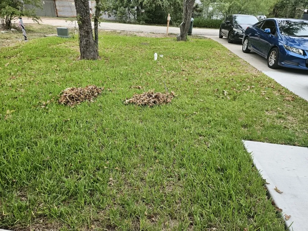 Local landscaping services experts serving Bryan, TX - Yard Maintenance And Gardening New Image