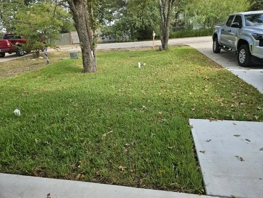 Yard Maintenance And Gardening New Image Logo