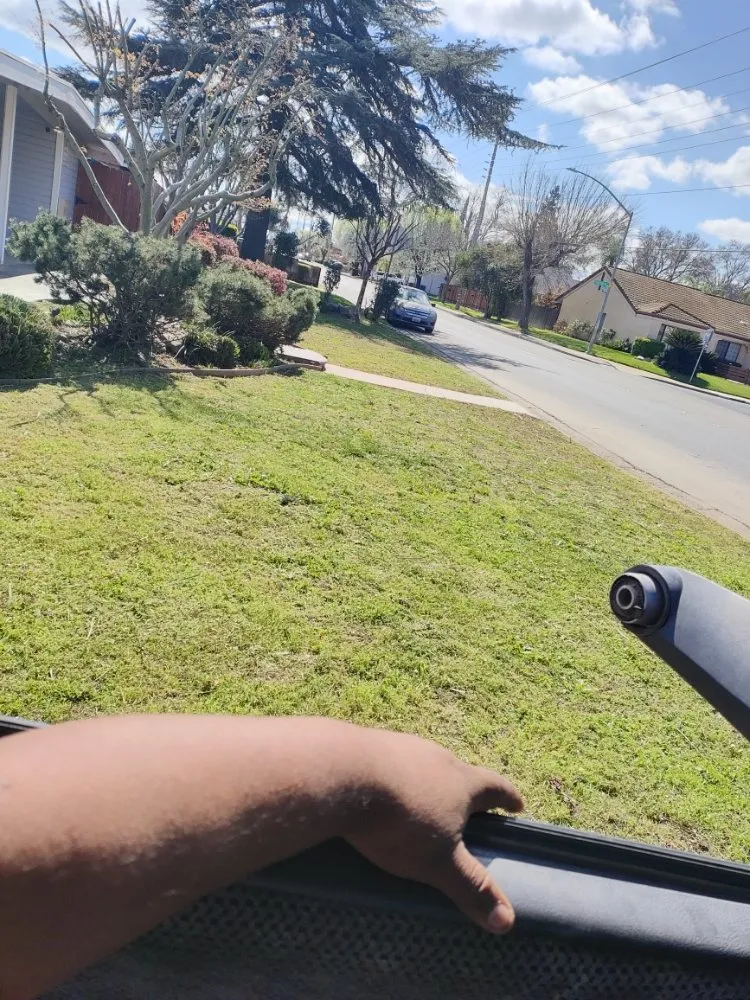 Top-rated landscape design experts serving Ceres, CA - Yard Maintenance Clean Up