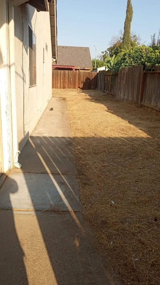 Custom landscape installation in Ceres, CA by Yard Maintenance Clean Up