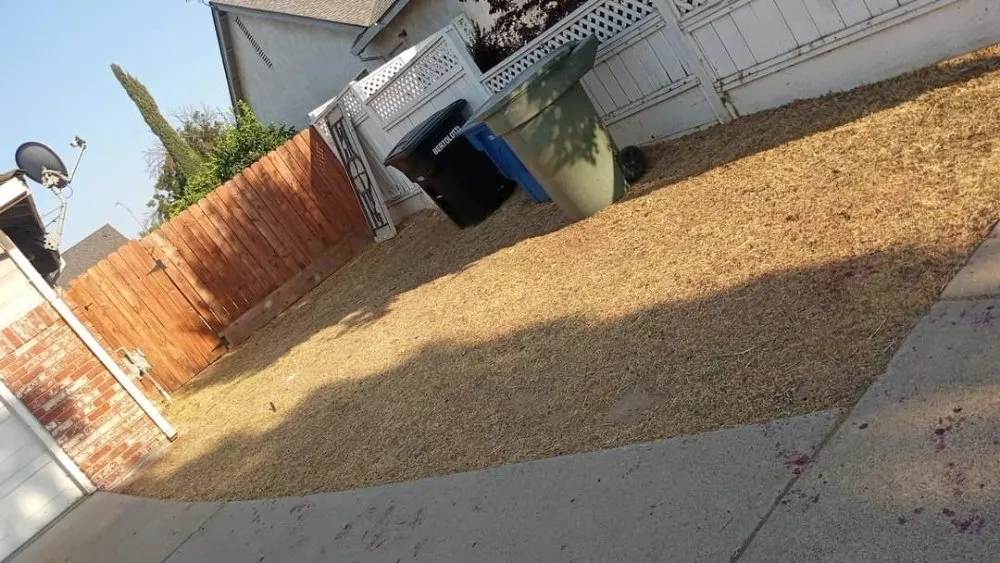 Local residential landscaping experts serving Ceres, CA - Yard Maintenance Clean Up