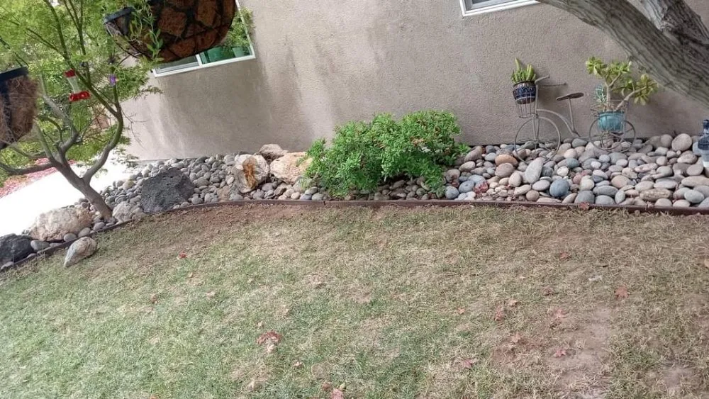 Professional yard cleanup service for year-round maintenance across Ceres, CA - Yard Maintenance Clean Up