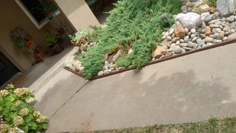 Professional landscape installation for outdoor upgrades across Ceres, CA - Yard Maintenance Clean Up