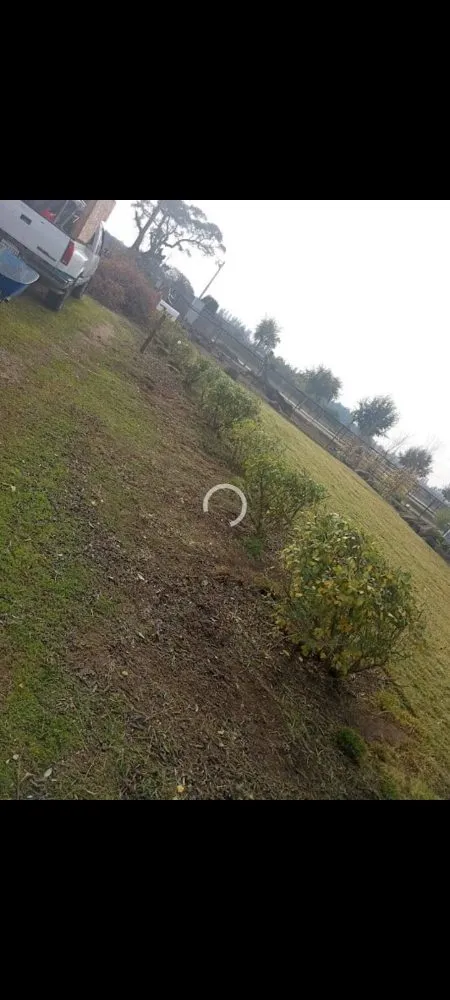 Custom outdoor landscaping for outdoor upgrades across Ceres, CA - Yard Maintenance Clean Up