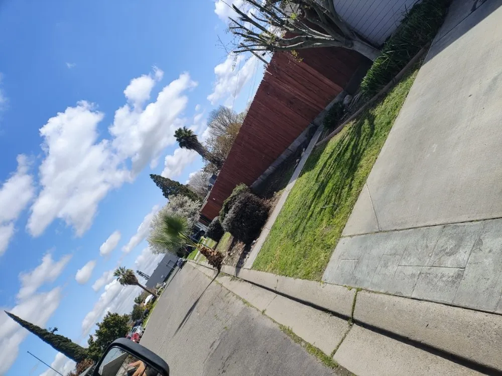 Professional yard maintenance experts serving Ceres, CA - Yard Maintenance Clean Up