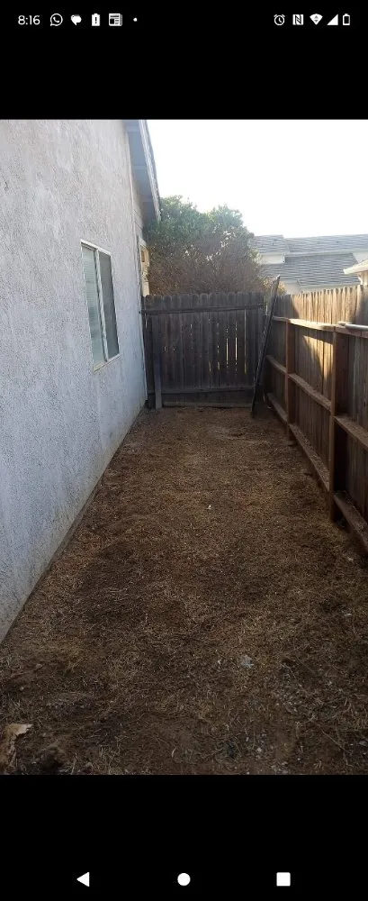 Trusted lawn care service in Ceres, CA by Yard Maintenance Clean Up