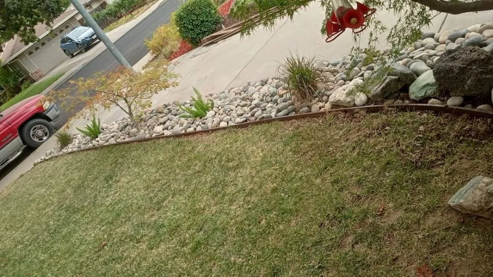 Custom lawn care service experts serving Ceres, CA - Yard Maintenance Clean Up