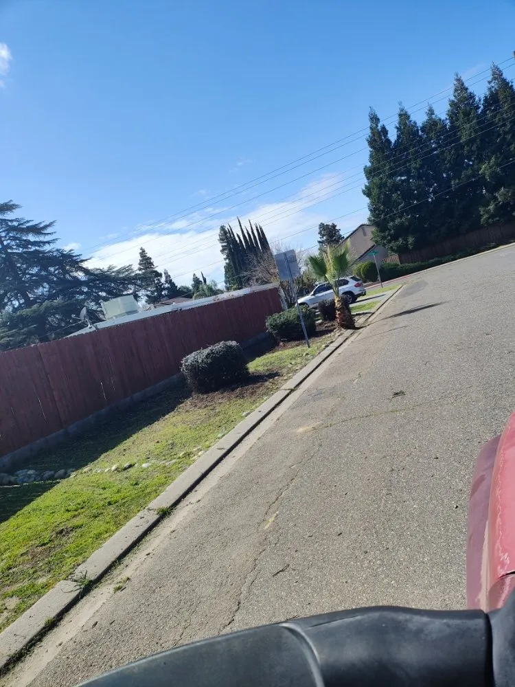 Custom landscaping services in Ceres, CA by Yard Maintenance Clean Up